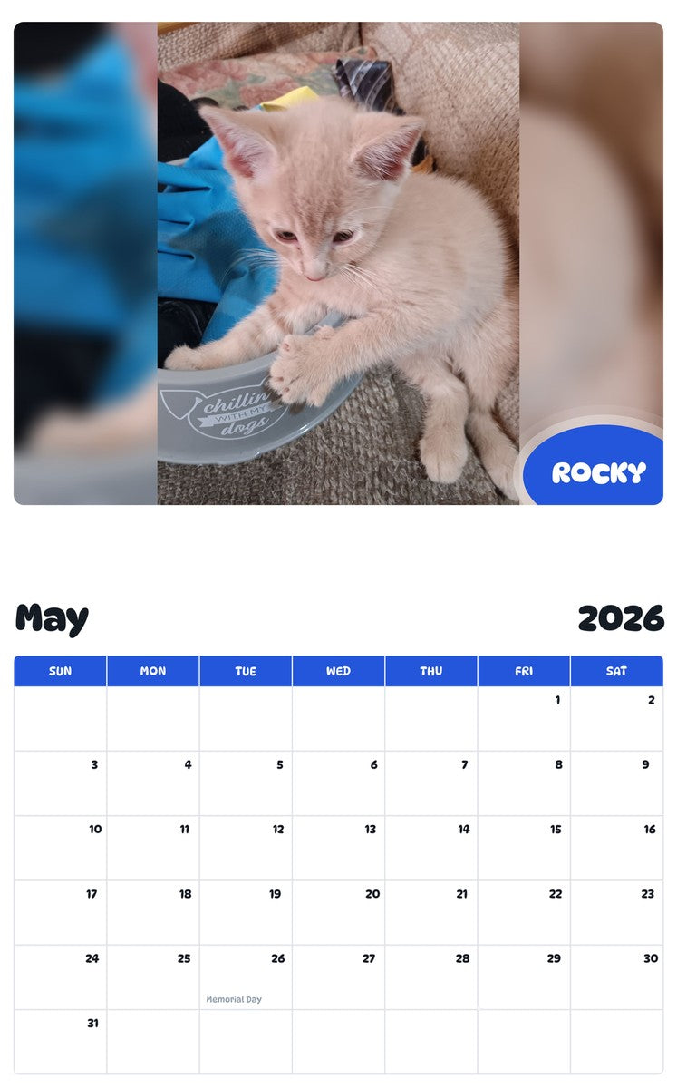 2026 - 2027 ROCKY - Pawidols Pet Calendar