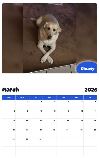 November 2025 - October 2026 Chewy - Pawidols Pet Calendar