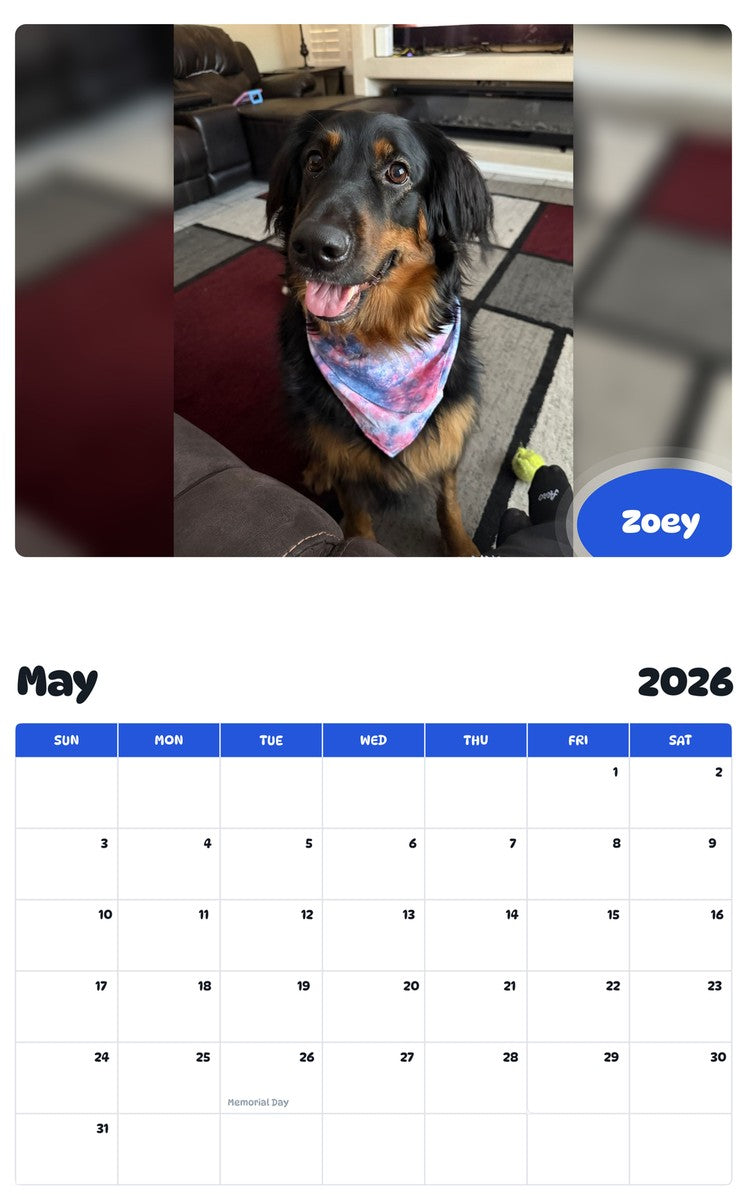 2026 - 2027 Zoey - Pawidols Pet Calendar