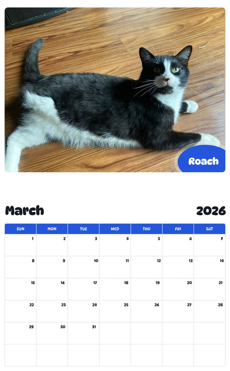 November 2025 - October 2026 Roach - Pawidols Pet Calendar