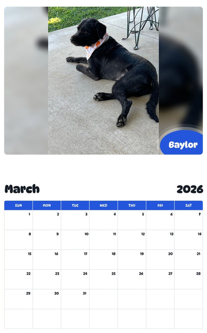 November 2025 - October 2026 Baylor - Pawidols Pet Calendar