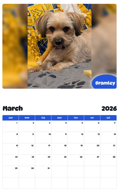 November 2025 - October 2026 Bramley - Pawidols Pet Calendar