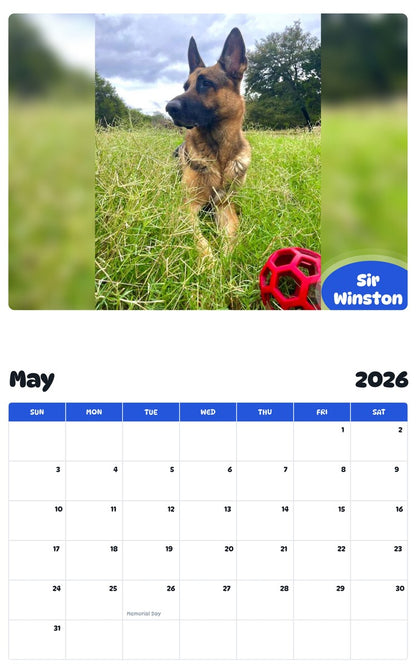 2026 - 2027 Sir Winston - Pawidols Pet Calendar
