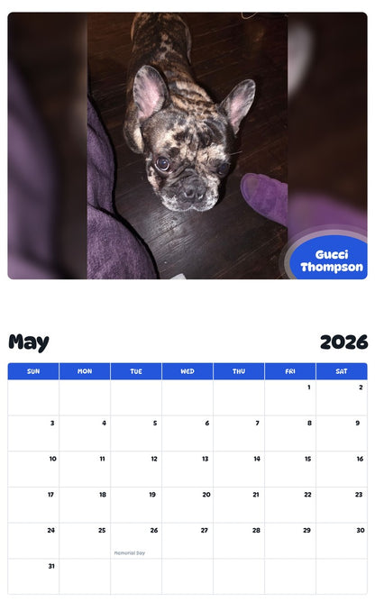 2026 - 2027 Gucci Thompson - Pawidols Pet Calendar
