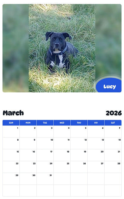 November 2025 - October 2026 Lucy - Pawidols Pet Calendar