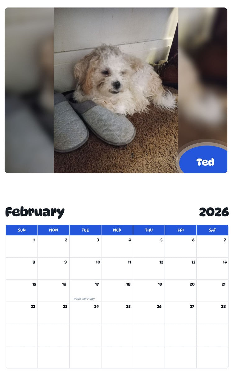 October 2025 - September 2026 Ted - Pawidols Pet Calendar