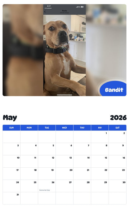 2026 - 2027 Bandit - Pawidols Pet Calendar