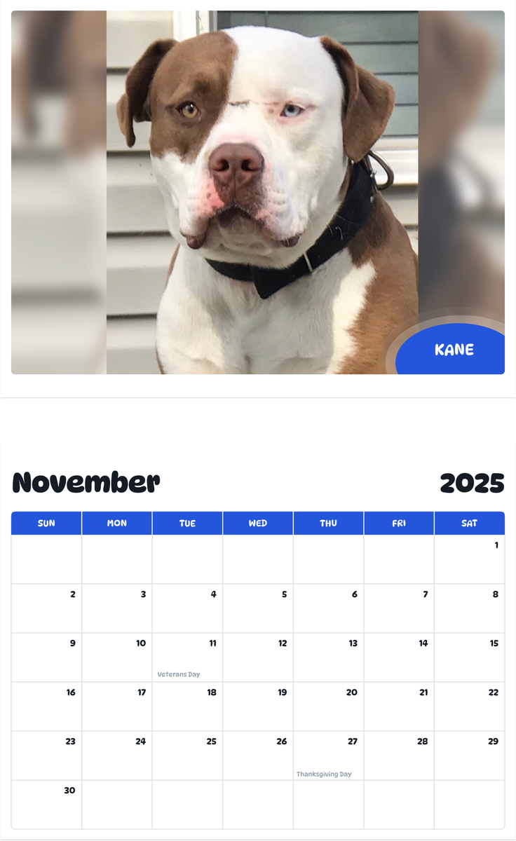 July 2025 - June 2026 Kane - Pawidols Pet Calendar
