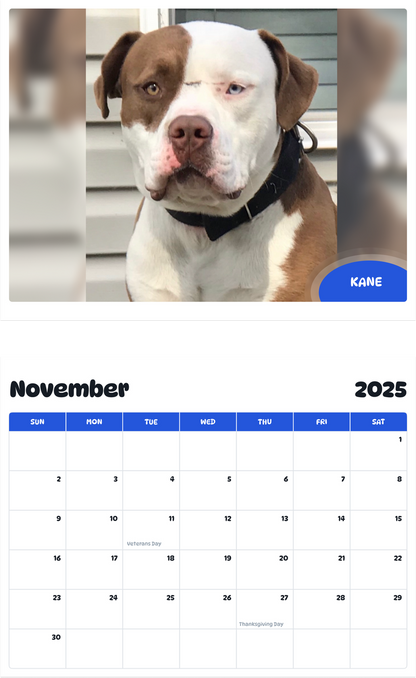July 2025 - June 2026 Kane - Pawidols Pet Calendar
