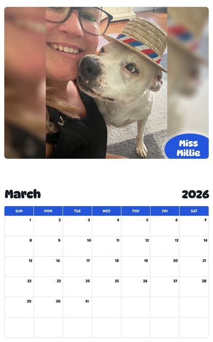 November 2025 - October 2026 Miss Millie - Pawidols Pet Calendar