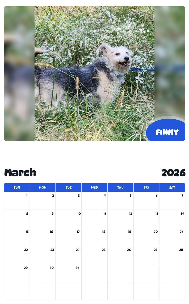 November 2025 - October 2026 FINNY - Pawidols Pet Calendar
