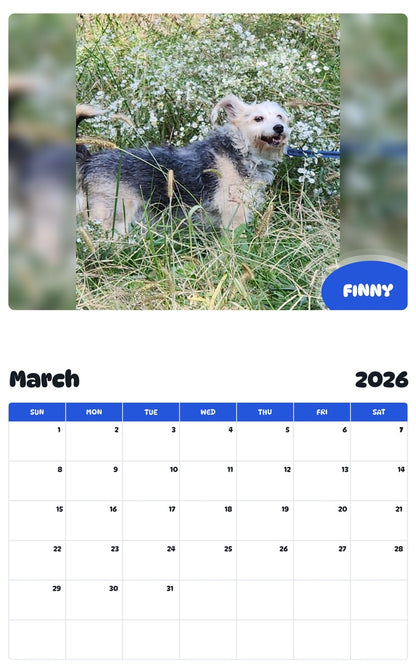 November 2025 - October 2026 FINNY - Pawidols Pet Calendar