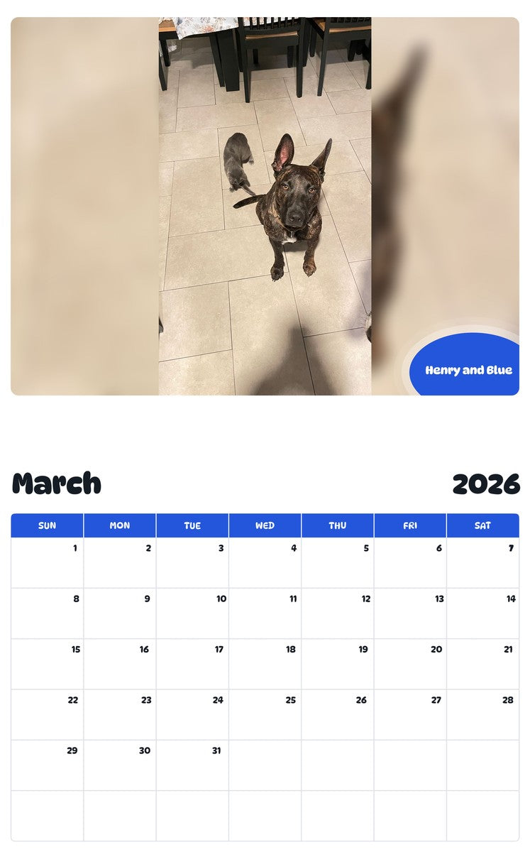 November 2025 - October 2026 Henry and Blue - Pawidols Pet Calendar