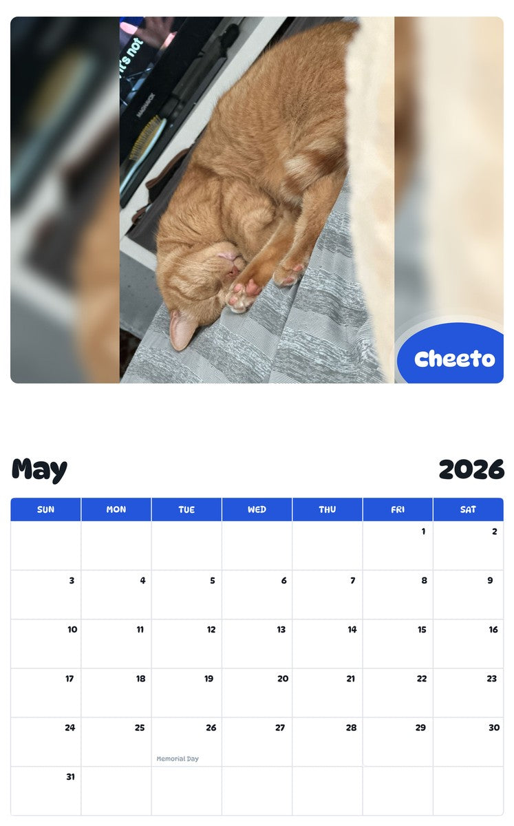 2026 - 2027 Cheeto - Pawidols Pet Calendar