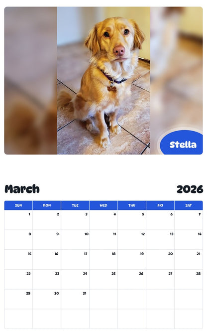November 2025 - October 2026 Stella - Pawidols Pet Calendar