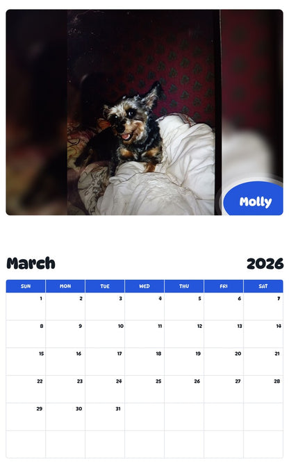 November 2025 - October 2026 Molly - Pawidols Pet Calendar