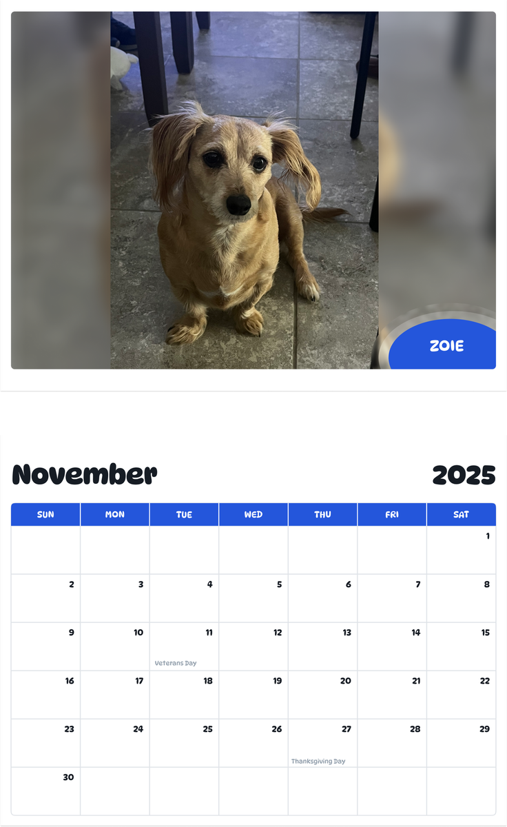 July 2025 - June 2026 ZOIE - Pawidols Pet Calendar