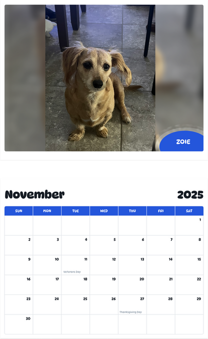 July 2025 - June 2026 ZOIE - Pawidols Pet Calendar