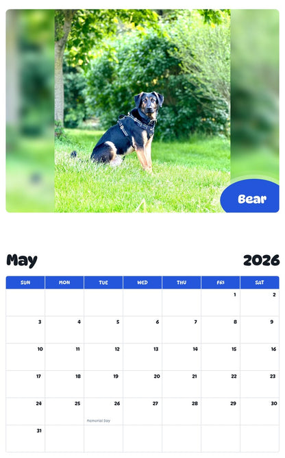 2026 - 2027 Bear - Pawidols Pet Calendar