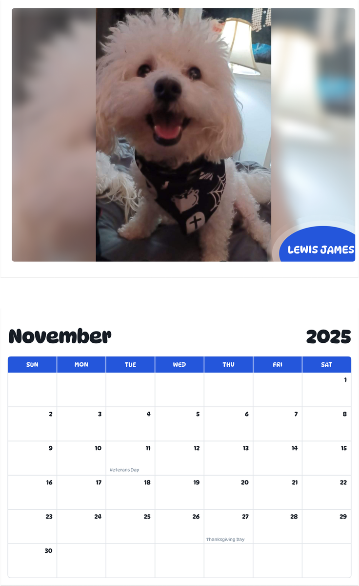 July 2025 - June 2026 Lewis James - Pawidols Pet Calendar