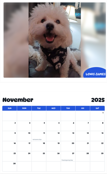 July 2025 - June 2026 Lewis James - Pawidols Pet Calendar