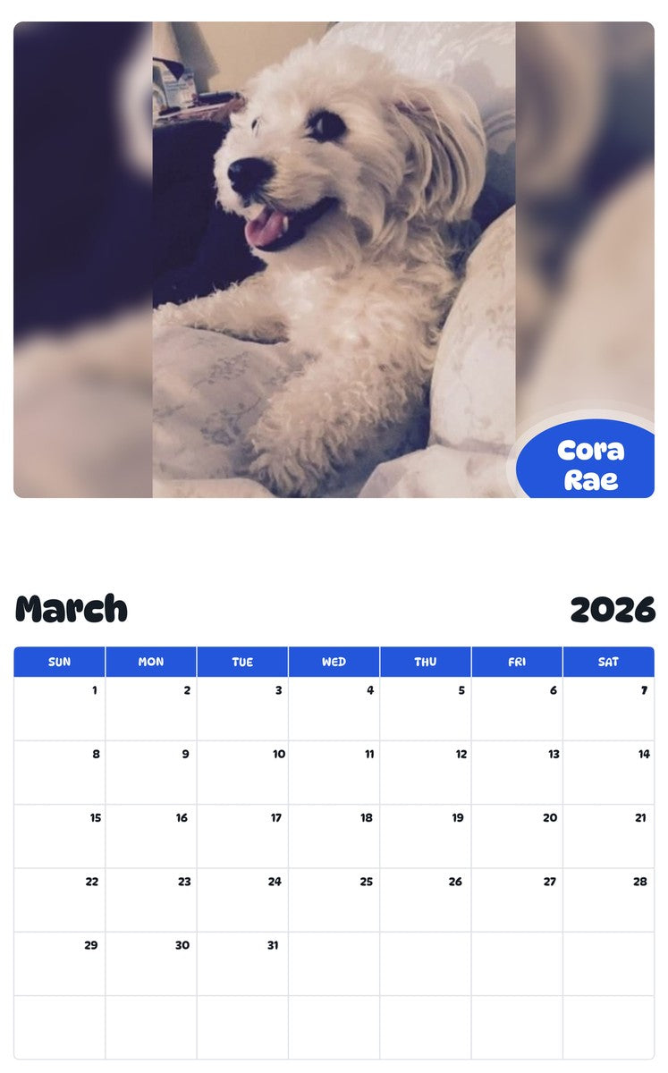 November 2025 - October 2026 Cora Rae - Pawidols Pet Calendar