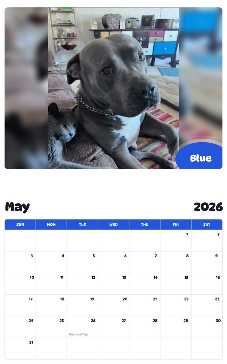 2026 - 2027 Blue - Pawidols Pet Calendar