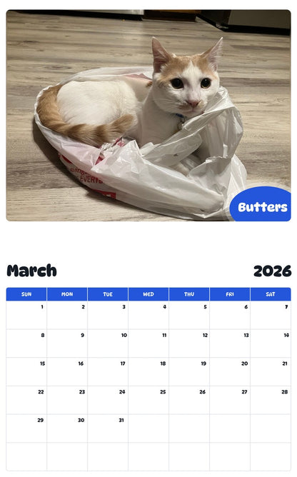 November 2025 - October 2026 Butters - Pawidols Pet Calendar
