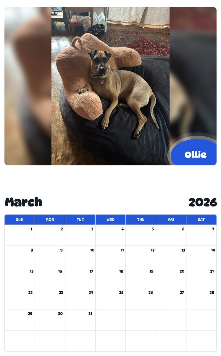 November 2025 - October 2026 Ollie - Pawidols Pet Calendar