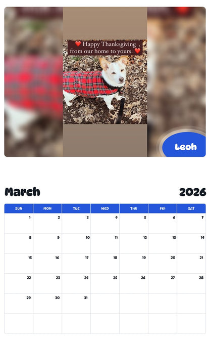 November 2025 - October 2026 Leoh - Pawidols Pet Calendar