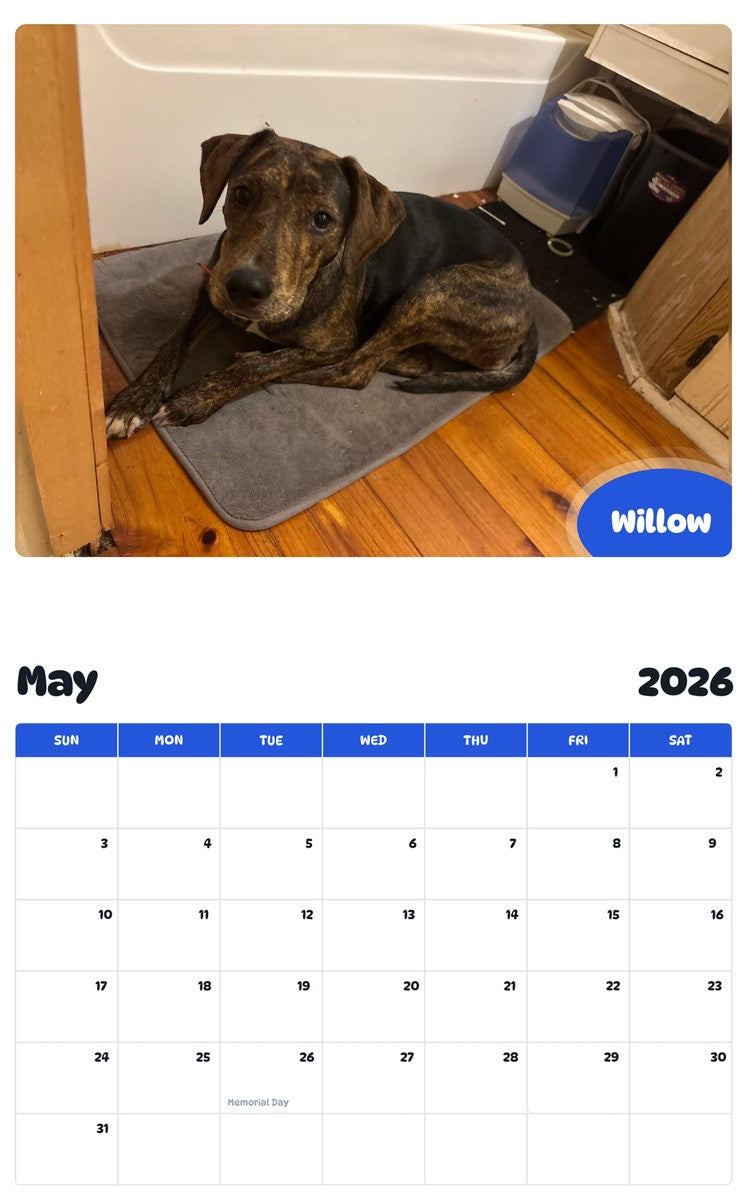 2026 - 2027 Willow - Pawidols Pet Calendar