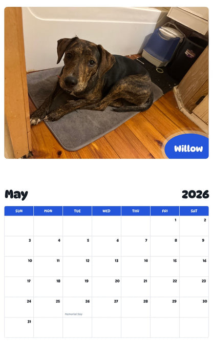 2026 - 2027 Willow - Pawidols Pet Calendar