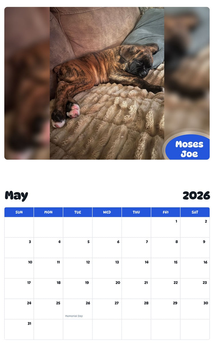 2026 - 2027 Moses Joe - Pawidols Pet Calendar