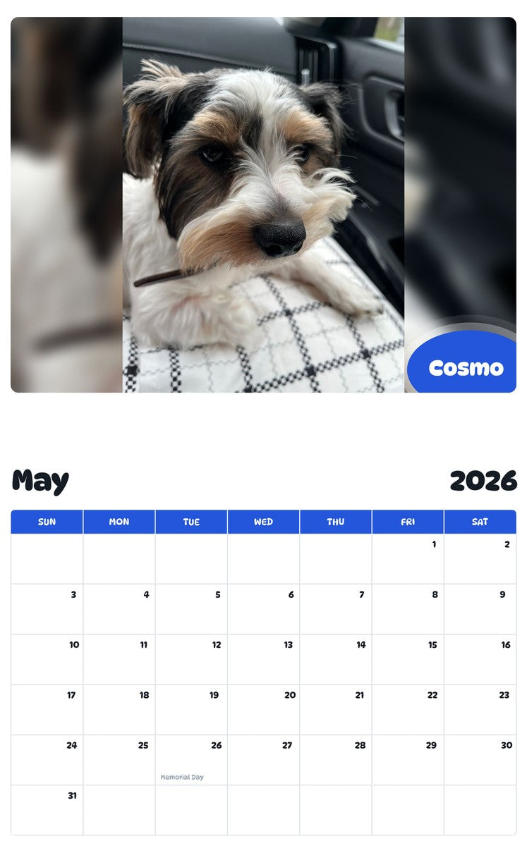 2026 - 2027 Cosmo - Pawidols Pet Calendar