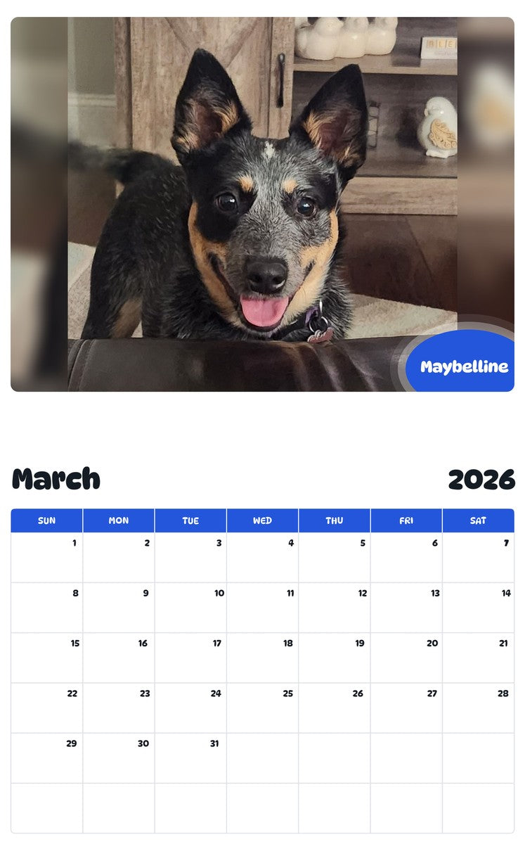 November 2025 - October 2026 Maybelline - Pawidols Pet Calendar