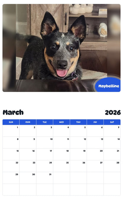 November 2025 - October 2026 Maybelline - Pawidols Pet Calendar