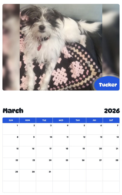 November 2025 - October 2026 Tucker - Pawidols Pet Calendar