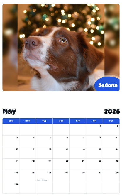 2026 - 2027 Sedona - Pawidols Pet Calendar