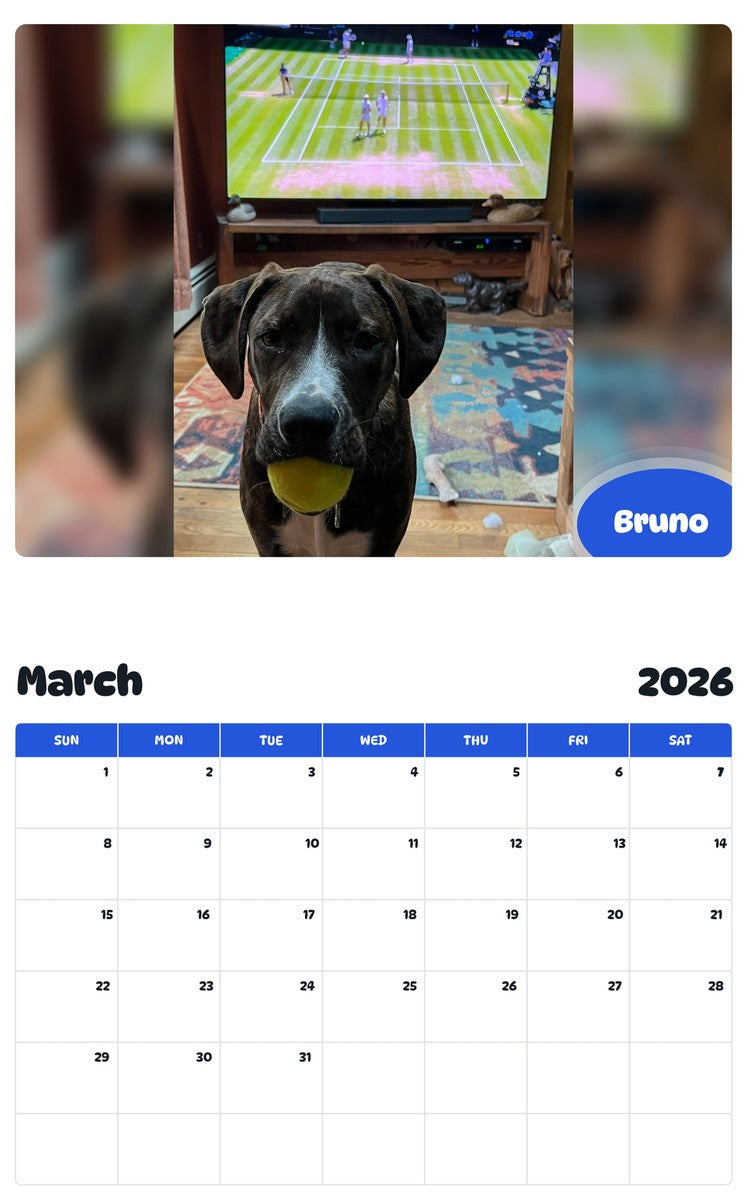 November 2025 - October 2026 Bruno - Pawidols Pet Calendar