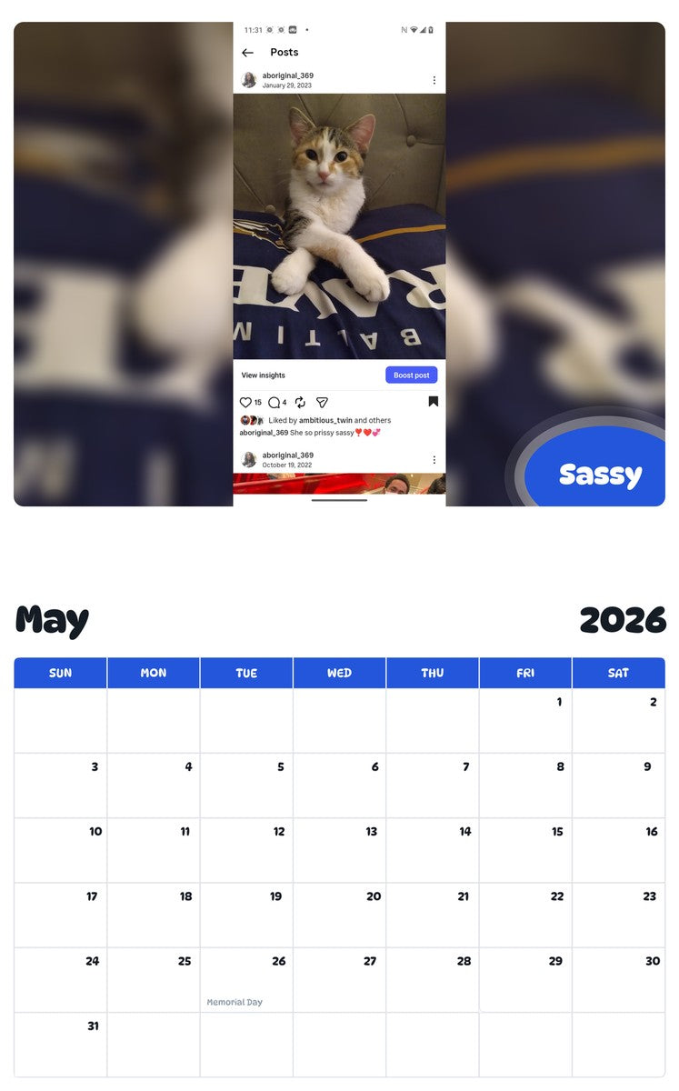 2026 - 2027 Sassy - Pawidols Pet Calendar