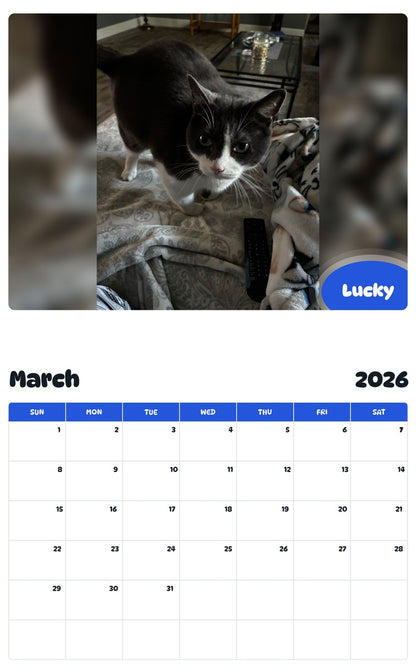 November 2025 - October 2026 Lucky - Pawidols Pet Calendar