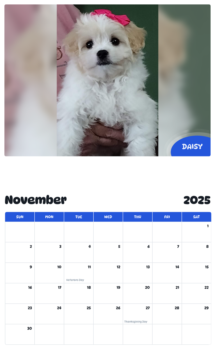 July 2025 - June 2026 Daisy - Pawidols Pet Calendar