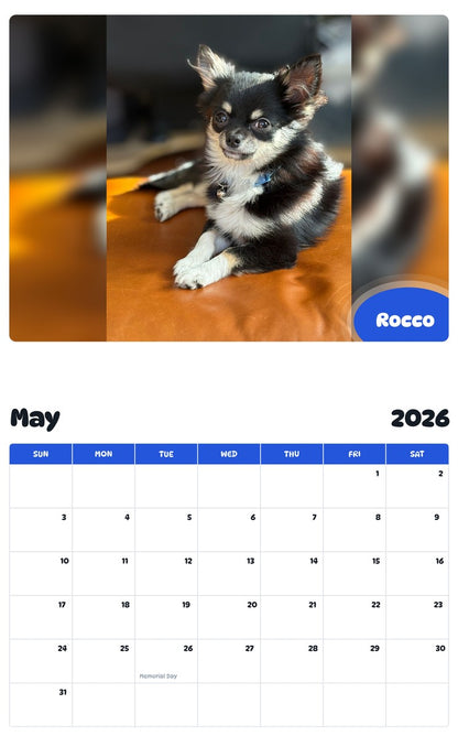 2026 - 2027 Rocco - Pawidols Pet Calendar