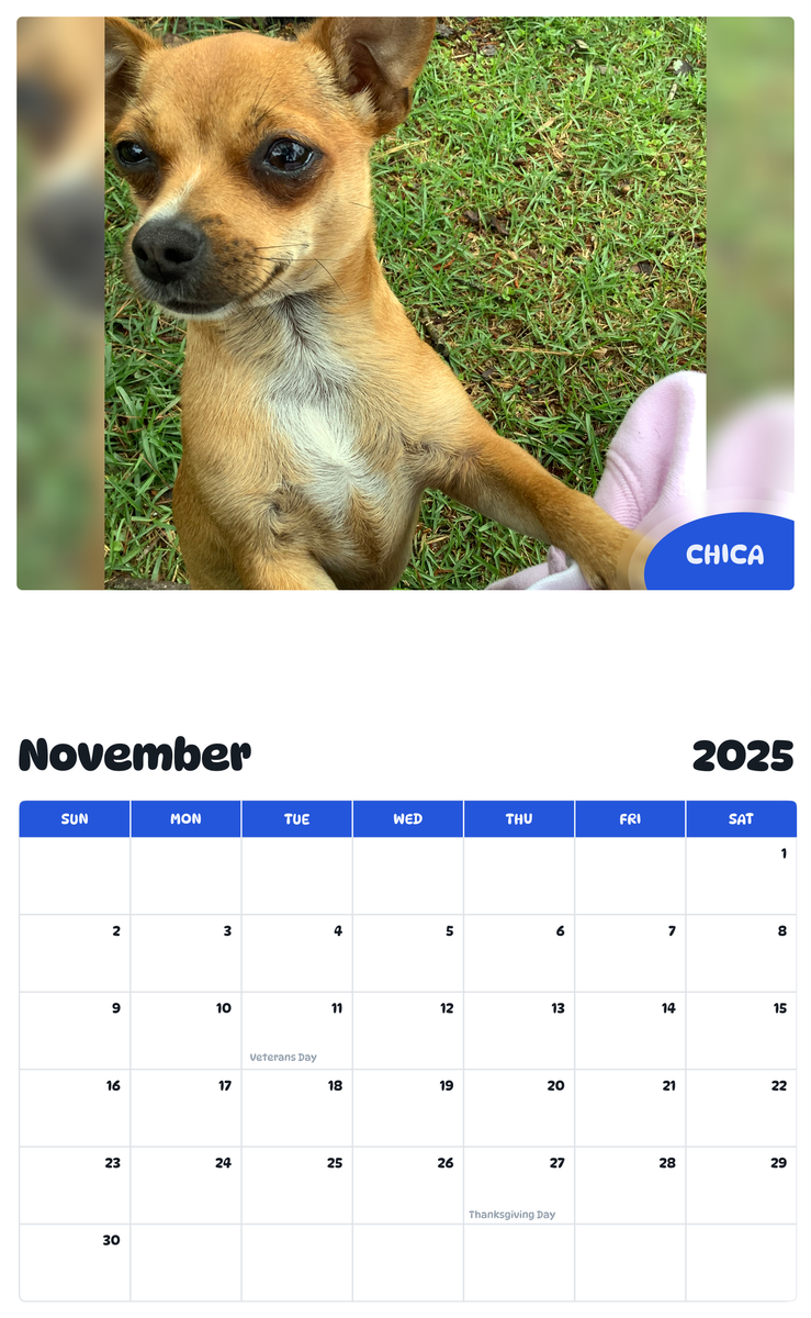July 2025 - June 2026 Chica - Pawidols Pet Calendar