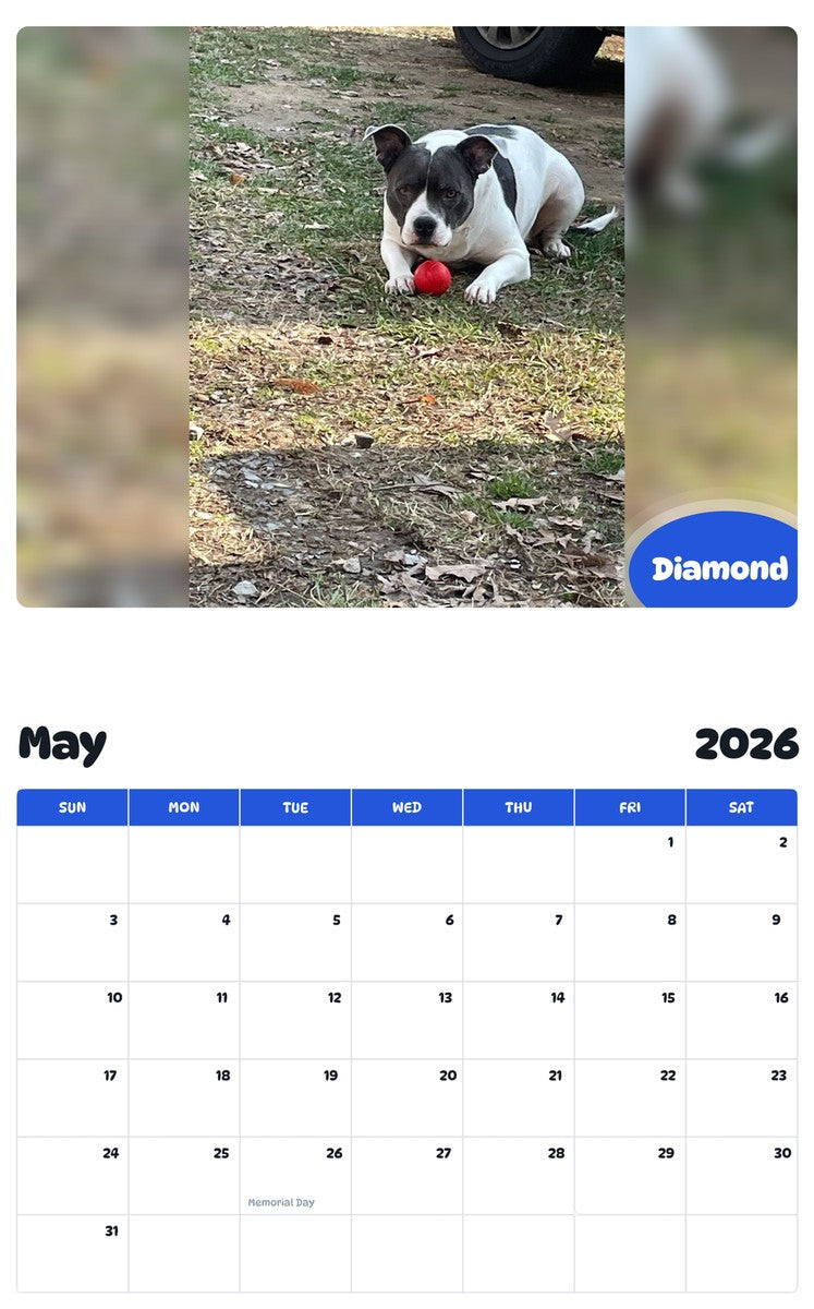 2026 - 2027 Diamond - Pawidols Pet Calendar