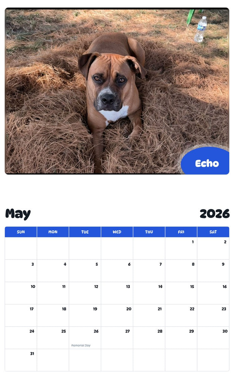 2026 - 2027 Echo - Pawidols Pet Calendar