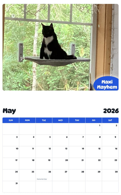 2026 - 2027 Maxi Mayhem - Pawidols Pet Calendar