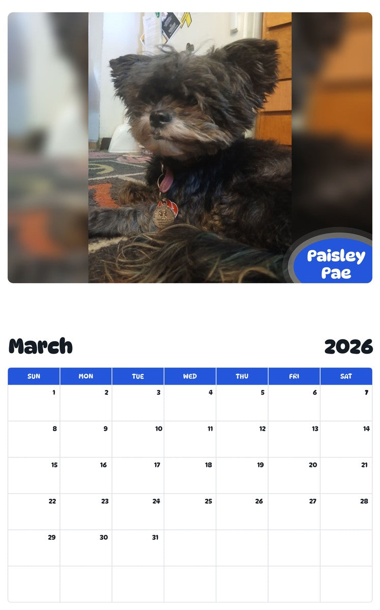 November 2025 - October 2026 Paisley Pae - Pawidols Pet Calendar
