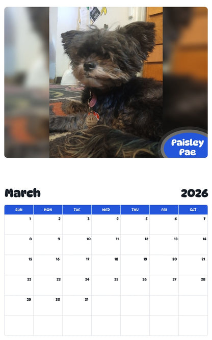 November 2025 - October 2026 Paisley Pae - Pawidols Pet Calendar