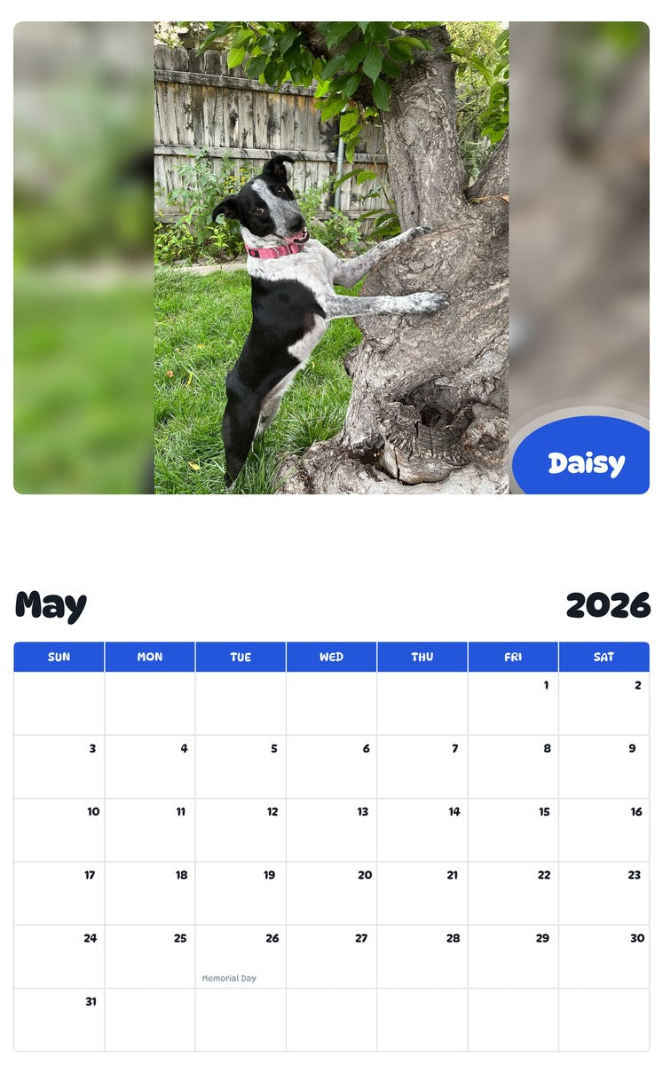 2026 - 2027 Daisy - Pawidols Pet Calendar